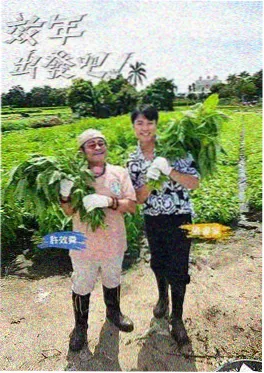 58影视综艺《一起去露营吧》封面